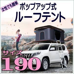 ルーフテント 車上テント カールーフテント 天窓 車上泊 はしご ルーフテント 車上テント カールーフテント 天窓 車上泊 はしご