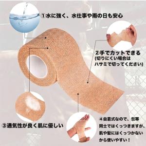 バンテージ 包帯 動物用バンテージ 3巻(10...の詳細画像4