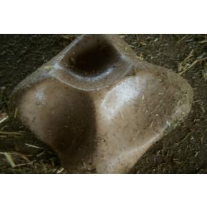 ミネラルソルト 5kg x 4ヶ 鉱塩 乳牛用...の詳細画像1