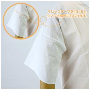 半衿付き 半襦袢 夏用 冬用 綿100% 肌着...の詳細画像3