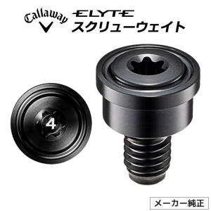 TaylorMade（テーラーメイド） Qi35 ドライバー用 純正 TAS ウェイト