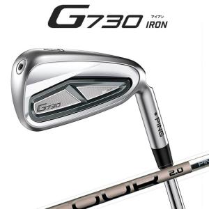PING（ピン） G710 アイアン 5本セット (6I-9、W) N.S.PRO 950GH neo