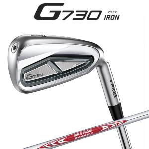 PING（ピン） G710 アイアン 5本セット (6I-9、W) N.S.PRO 950GH neo