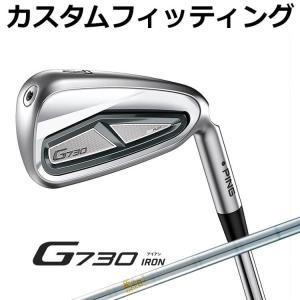 PING（ピン） G710 アイアン 5本セット (6I-9、W) N.S.PRO 950GH neo