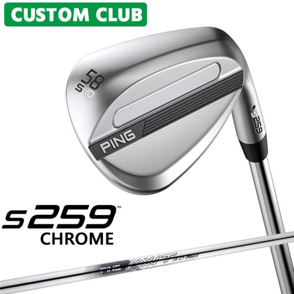 カスタム ピン S259 CHROME クローム ウェッジ 右用 AWT 3.0 LITE スチール...