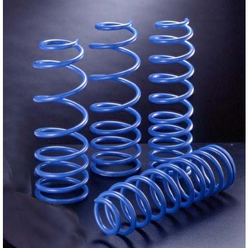 4x4 エンジニアリング カントリーサスペンション 95プラド用(CST032)