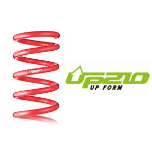 TANABE（タナベ） UP210 リフトアップサス (1台分) ロッキー A200S