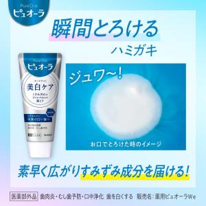 【限定特価】薬用ピュオーラナノブライト115gの詳細画像3