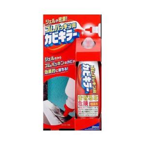 ゴムパッキン用カビキラー100g