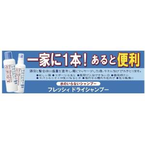 フレッシィ ドライシャンプー (ディスペンサー...の詳細画像5
