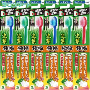 【限定特価】【6個まとめ買い】生葉　極幅ブラシ　レギュラー　ふつう（アソートカラー）×6個【代引き不可】【日時指定不可】｜yatownart