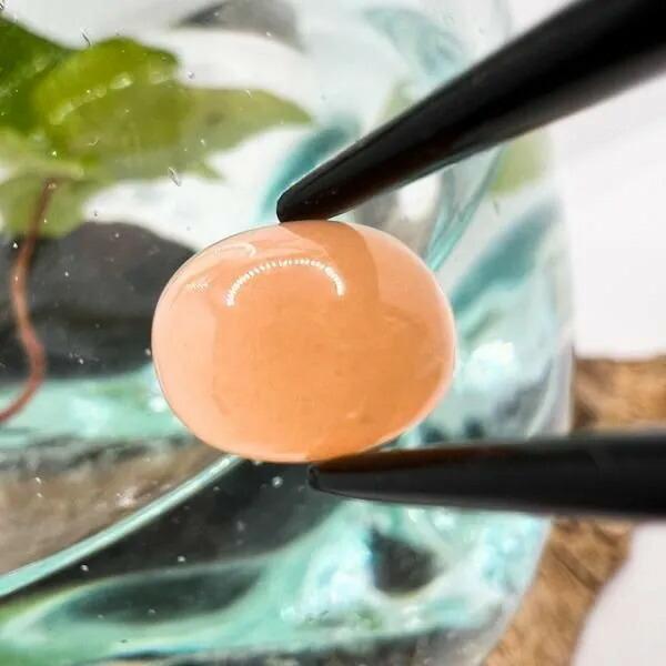 【メール便】オレンジムーンストーン 10mm×8mm B8988032729♪ 天然石 ルース 宝石...