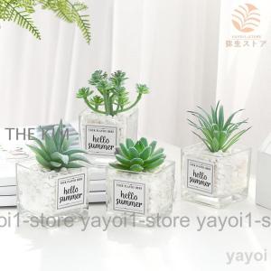 人工観葉植物 フェイクグリーン 造花 ミニサボ...の詳細画像1