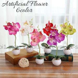 リアル造花　胡蝶蘭　ミニ胡蝶蘭とセット 造花 胡蝶蘭 コチョウラン ラン 母の日 ミニポット ミニ鉢植え