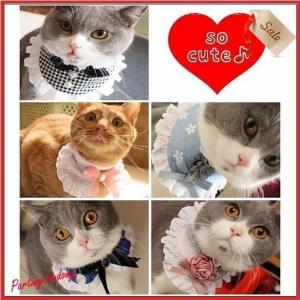 ペット用 猫用 犬用 付け襟 首輪 つけ襟 マジックテープ カラー 可愛い かわいい レース フリル リボン 花 バラ 花柄 チェック柄 ドット柄 水｜yayoian