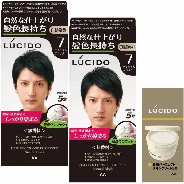 LUCIDO(ルシード)【医薬部外品】ワンプッシュケアカラー ナチュラルブラック メンズ用 ショート...