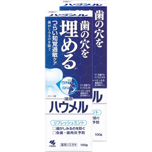 【まとめ買い】ハウメル 知覚過敏ケア 薬用ハミガキ 100g×2個 歯の穴を埋める 小林製薬 【医薬...