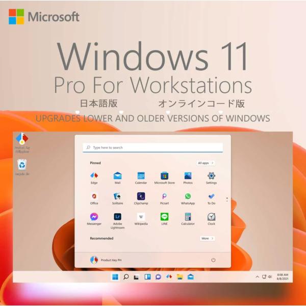 Microsoft Windows 11 Pro for Workstation OS|プロダクトキ...