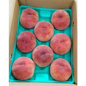 桃 山梨県産 日川白鳳 秀品クラス 送料無料の詳細画像1