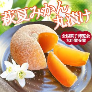 萩夏みかん丸漬（大好評につき１週間10個限定）萩銘菓　羊羹　ようかん　お菓子　お土産　ギフト　プレゼント　スイーツ　お茶会　母の日