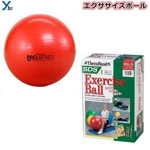 ディーエム D&M エクササイズボール 55cm ボディーケア トレーニング リハビリ パワーUP フィットネス SDS55｜ybc