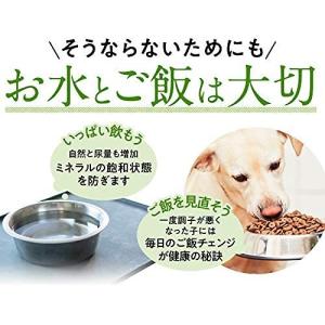 尿路結石おやつ犬の商品一覧 通販 Yahoo ショッピング