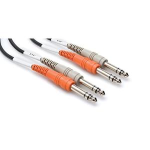 Hosa CSS-202 2m 両側ステレオフォン×2 オーディオケーブル