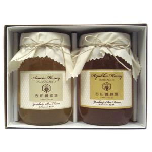 国産百花はちみつ 600g (香川県産 純粋蜂蜜) : 蜂蜜専門店 Y-BEE FARM