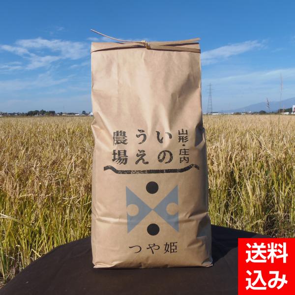 令和５年産 井上農場の特別栽培米つや姫5kg【井上農場】山形県産 米処 庄内 精米 白米 お米 コメ