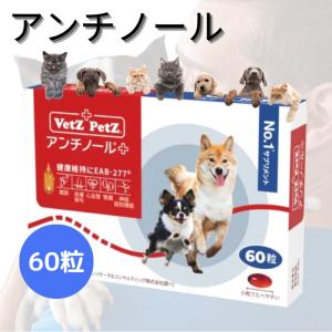 アンチノール プラス 犬用 60粒 犬用サプリメント アンチのーる ぷらす｜yckey-store