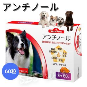 アンチノール 犬用 60粒 犬用サプリメント アンチのーる Vetz Pets ペットライン｜yckey-store