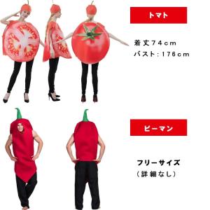 食べ物 コスプレ 着ぐるみ 大人 ハロウィン ...の詳細画像2