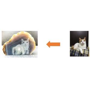 メモリアルプレート ペット お墓 高級 天然石...の詳細画像5