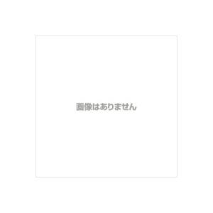 ABC-21-B エアバランサー 遠藤工業(ENDO)｜ydirect
