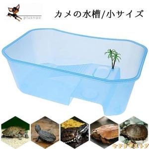 亀の甲羅の商品一覧 通販 Yahoo ショッピング