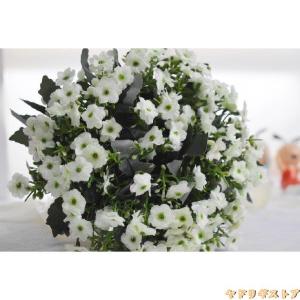 手作りブーケキットの商品一覧 通販 Yahoo ショッピング