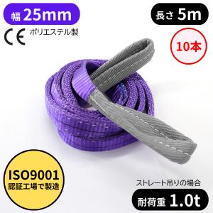 10本 スリングベルト 長さ5m 幅25mm 耐...の商品画像