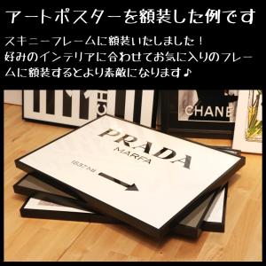 お部屋のイメチェン送料無料Grace cat ...の詳細画像4