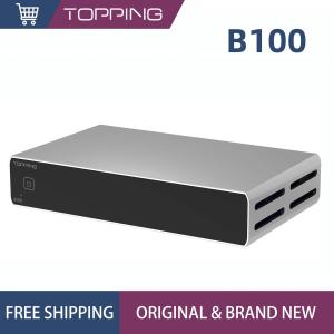 TOPPING B100 モノパワーアンプ 100W出力 高性能オーディオパワーアンプ シルバー