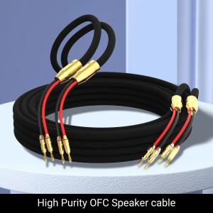 Audiocrast PS902 ペア HIF...の詳細画像1