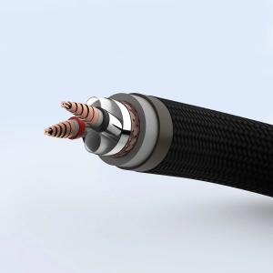 Audiocrast PS902 ペア HIF...の詳細画像4
