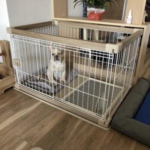ペットフェンス 犬 ペットサークル 鉄製 ドッ...の詳細画像2