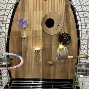 鳥かご ステンレス アクリル スタンド カナリ...の詳細画像1
