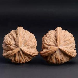 文玩核桃 三文玩核桃 白子 正本型 天然木製 ...の詳細画像1