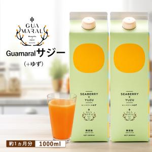 サジージュース サジー +ゆず（2本）モンゴル産 シーベリー 沙棘 鉄分補給 鉄分不足 健康飲料 健康ドリンク （まとめ買）グアマラル 鉄分｜モンゴル良品ショップMON