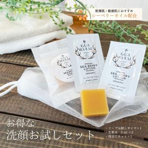 銀座ステファニー化粧品 クリアアップゼロ 洗顔料 泡状ソープ 200mL