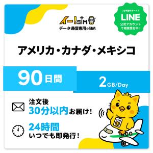 アメリカ カナダ メキシコ eSIM SIM 90日間 1日/2GB データ通信 プリペイドSIM イー!SIM