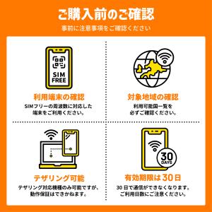 フランス SIM orange ヨーロッパ周遊...の詳細画像3