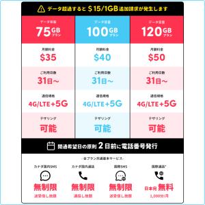 カナダ eSIM PhoneBox 長期用 3...の詳細画像2