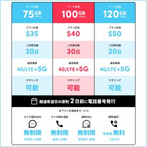 カナダ SIMカード PhoneBox トラベ...の詳細画像2
